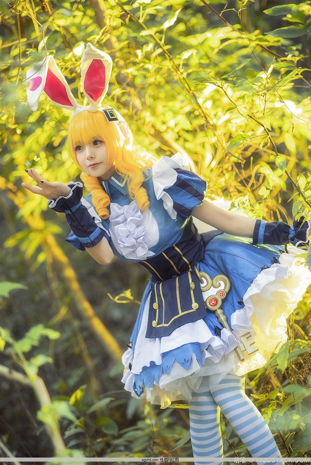 ΢Coser@СҰw &#  槼ˣ[15P]